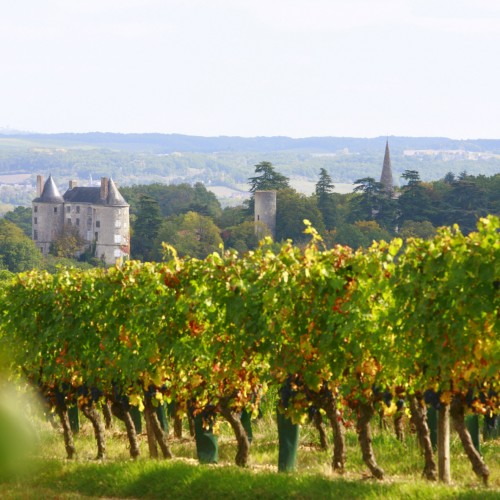 [:fr]Vins de Buzet[:] 1