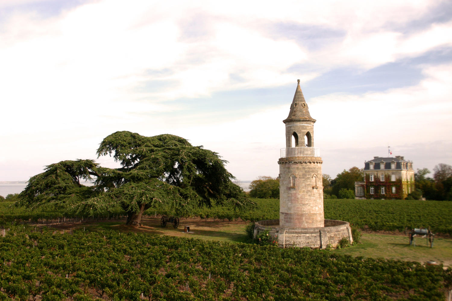 bordeaux chateau la tour de by