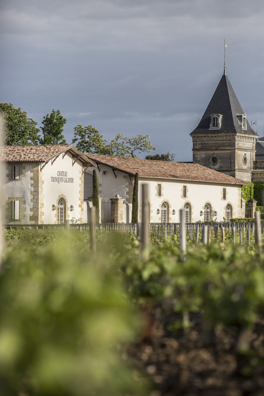 (Français) Château Tronquoy-Lalande - Saint-Estèphe 1